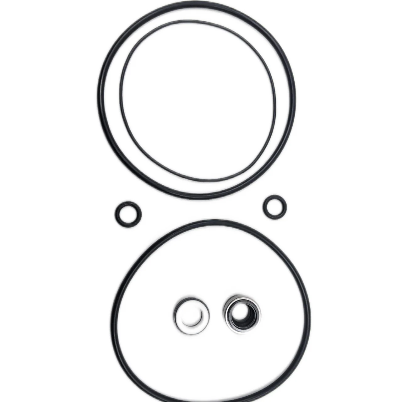 Wet End Seal Kit - Paichi 5400i